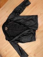 Veste en cuir Armani, Armani Jeans, Enlèvement, Noir, Taille 52/54 (L)