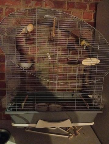 Te koop groot Vogel kooi met eet potjes en stokjes bij beschikbaar voor biedingen