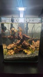 Aquarium 25 op 25 en 30 hoog.   Prijs bespreekbaar, Dieren en Toebehoren, Ophalen, Gebruikt, Leeg aquarium