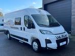 XGO VAN 4, Caravans en Kamperen, Bus-model, Bedrijf, Diesel, 5 tot 6 meter