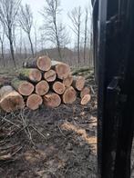 brandhout,bomen gezocht, Tuin en Terras, Brandhout, Ophalen, Stammen