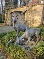 BRONZEN KOPPEL OUDERE HERTEN TOPBRONS PRACHTIG STEL KOOPJE!, Enlèvement ou Envoi, Comme neuf, Autres matériaux, Animal