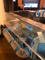 Hamsterkooi, Dieren en Toebehoren, Ophalen, Kooi, 60 tot 90 cm, Nieuw