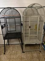 Cage à oiseaux, Animaux & Accessoires, Enlèvement, Utilisé, Cage à oiseaux