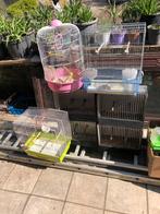 7 vogelkooien voor kanaries plus veel toebehoren., Dieren en Toebehoren