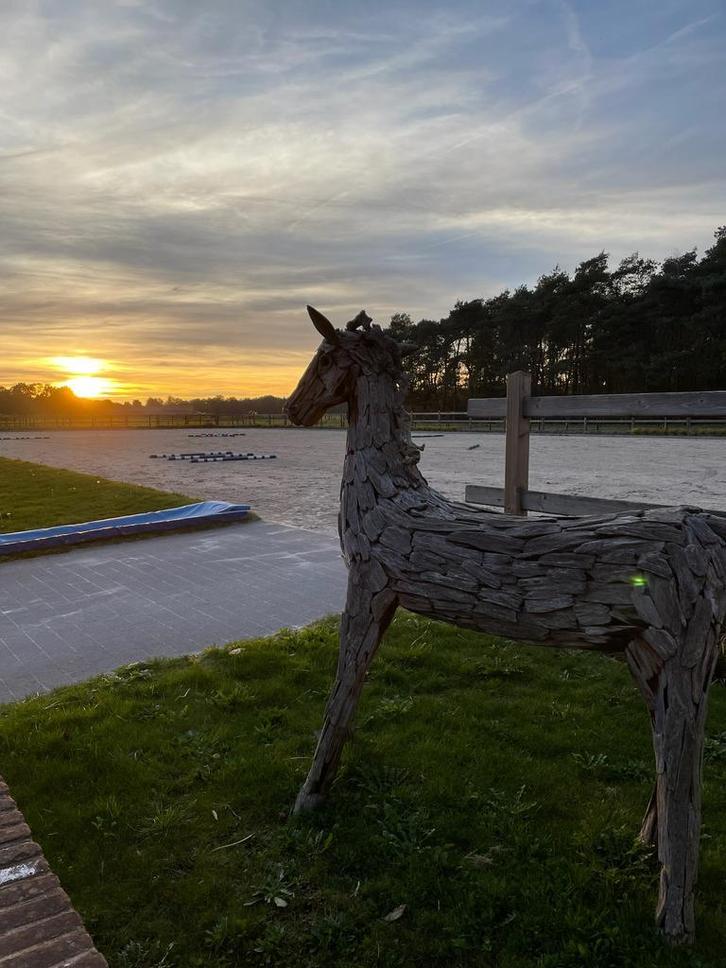 Stalling / stallen te huur op professionele accommodatie, Animaux & Accessoires, Box & Pâturages