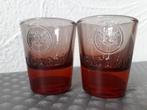 Bacardi Fuego, Ophalen of Verzenden, Zo goed als nieuw, Borrel- of Shotglas