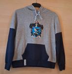 ▪︎︎ Harry Potter trui ( maat M), Ophalen of Verzenden, Gedragen, Maat 38/40 (M)