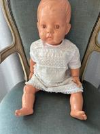 Wildebras groot met glazen ogen, Ophalen, Pop