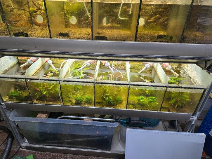 Aquariums met heel veel toebehoren, Dieren en Toebehoren, Vissen | Aquaria en Toebehoren, Gebruikt, Leeg aquarium, Ophalen