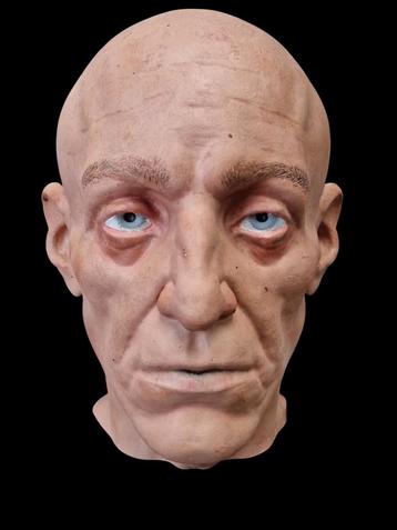 Realistisch geschilderde mannequin hoofd Alfred beschikbaar voor biedingen