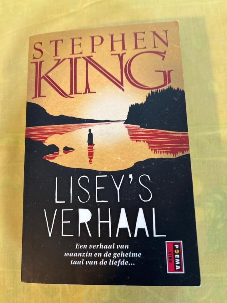 Stephen King - lisey’s verhaal, Boeken, Thrillers, Gelezen, Amerika, Ophalen of Verzenden