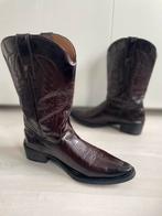 Bottes western taille 42, Enlèvement ou Envoi, Brun, Porté, Bottes hautes