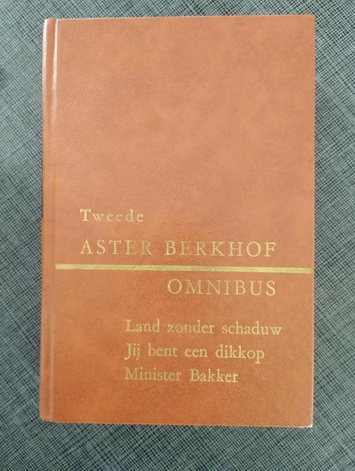 Aster Berkhof - Tweede omnibus, Boeken, Literatuur, Gelezen, België, Ophalen of Verzenden