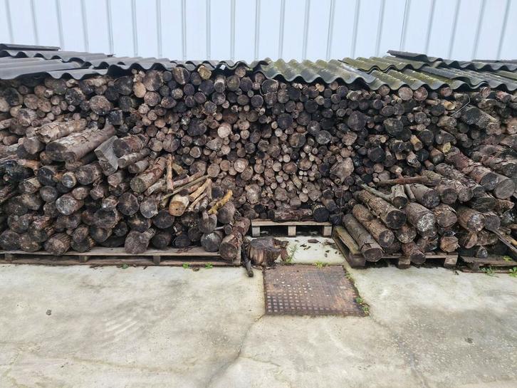 Bois de chauffage sec - Mélange Hêtre/Frêne/peuplier - 60 cm, Jardin & Terrasse, Bois de chauffage, Hêtre, Enlèvement