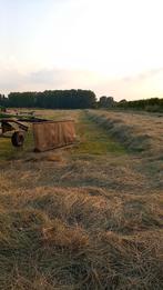 Gras gezocht, Dieren en Toebehoren