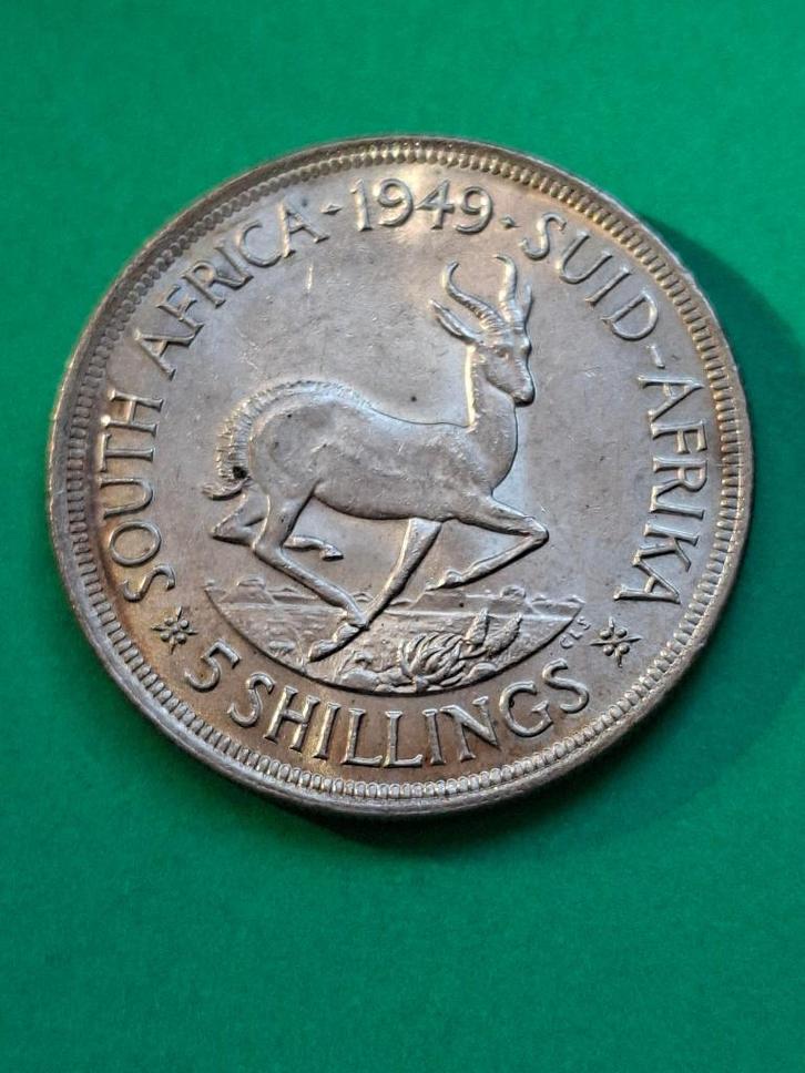 1949 Zuid Afrika 5 shillings in zilver met springbok, Postzegels en Munten, Munten | Afrika, Losse munt, Zuid-Afrika, Zilver, Verzenden