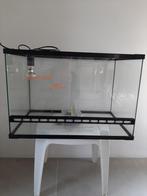 terrarium  repielen /schilpad   L 60 cm / H 40 cm en 40 cm d, Nieuw, Terrarium of Paludarium, Ophalen