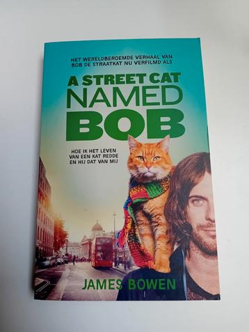 Bob de straatkat, Enlèvement, Comme neuf, Chats, James Bowen