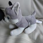 Knuffel hondje: Huskey.  Heel goede staat, Ophalen, Zo goed als nieuw, Hond