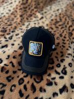 Casquette songoku, Nieuw