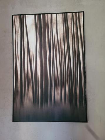 Wall art beschikbaar voor biedingen