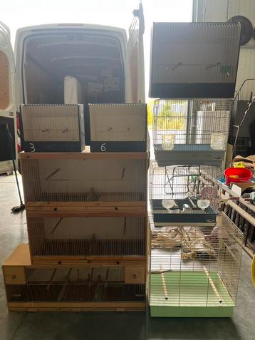 Verschillende vogelkooien beschikbaar voor biedingen