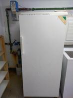 diepvrieskast, Elektronische apparatuur, Vriezers en Diepvrieskisten, Gebruikt, 160 cm of meer, Ophalen, Vrieskast