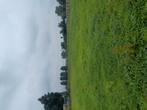 Weide te huur met water, Dieren en Toebehoren, Stalling en Weidegang