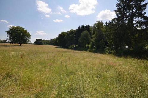 Terrain à vendre à Seloignes, Immo, Gronden en Bouwgronden, 1500 m² of meer