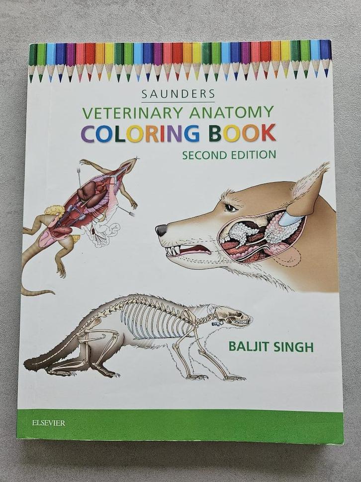 Veterinary anatomy coloring book < Baljit Singh, Boeken, Studieboeken en Cursussen, Zo goed als nieuw, Hogeschool, Ophalen of Verzenden