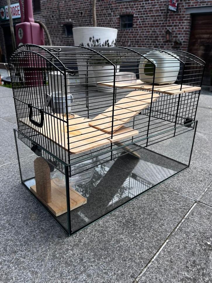 Hamsterkooi in metaal, hout en glas, Animaux & Accessoires, Rongeurs & Lapins | Cages & Clapiers, Utilisé, Cage, Hamster, Enlèvement