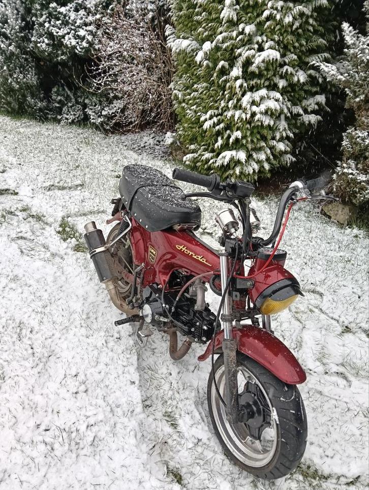 Dax bklasse 50cc of 110, Vélos & Vélomoteurs, Cyclomoteurs | Honda, Neuf, Autres modèles, Classe B (45 km/h), Enlèvement