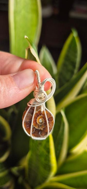 Ammoniet hanger zilverdraad edelstenen sieraden juwelen beschikbaar voor biedingen