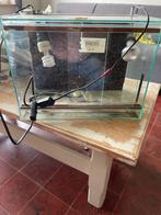 Terrarium met lamp, Dieren en Toebehoren, Ophalen, Gebruikt