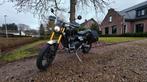 Triumph Scrambler 1200 XE (2023), Motoren, Motoren | Triumph, 2 cilinders, Motorrijbewijs A, Particulier, Meer dan 35 kW