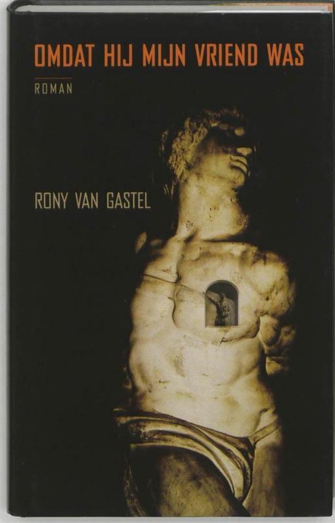 Te Koop Boek OMDAT HIJ MIJN VRIEND WAS Rony Van Gastel, Boeken, Romans, Gelezen, Ophalen of Verzenden