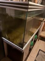 Mooie aquarium te koop, Dieren en Toebehoren, Ophalen, Gebruikt
