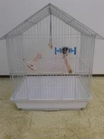 Cage et accessoires. Région Charleroi, Ophalen of Verzenden, Zo goed als nieuw, Vogelkooi