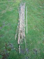 Bamboe stokken 10€., Tuin en Terras, Palen, Balken en Planken, Nieuw, 250 cm of meer, Palen, Ophalen