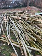 Wilgen hout op stam nat!, 6 m³ of meer, Ophalen, Overige houtsoorten, Stammen