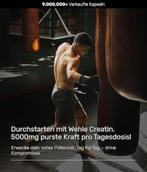 Creatin Sterk gedoseerde Workout Booster GRATIS LEVERING, Verzenden, Nieuw, Poeder of Drank
