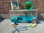 Konijnenkooi met toebehoren, Ophalen, Zo goed als nieuw, Kooi, Cavia