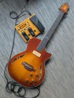 Guitare crafter midi Roland Gk3 et Boss GP 10