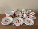 Arcopal servies met oranje bloemen ( niet compleet ), Ophalen