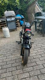 Skyteam hond dax, Motoren, Particulier