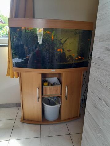 Aquarium Juwel 180 L complet beschikbaar voor biedingen