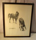 Belle gravure ancienne 'Deux chevaux dans le pré' - Signée, Antiquités & Art, Enlèvement ou Envoi