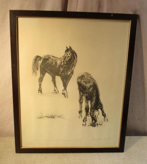Belle gravure ancienne 'Deux chevaux dans le pré' - Signée, Antiquités & Art, Art | Eaux-fortes & Gravures, Enlèvement ou Envoi