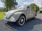 Vw coccinelle standard 1968, Auto's, 4 cilinders, Particulier, 2 deurs, Zilver of Grijs